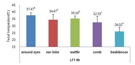 저온(Low fixed temperature) 8시 부위 별 체표온도