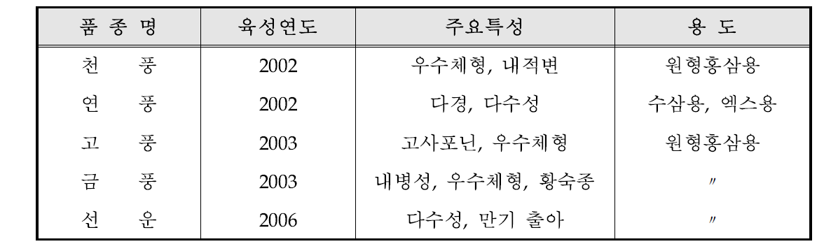 본 연구에 사용된 인삼 품종