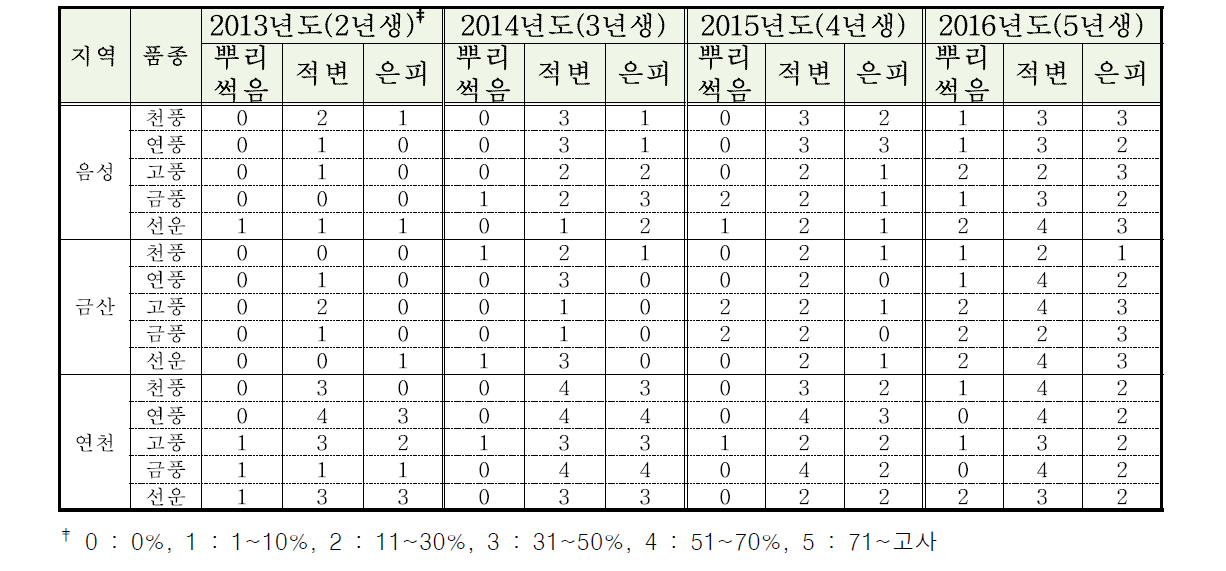 지역별 품종의 생리장해 및 병 발생 양상