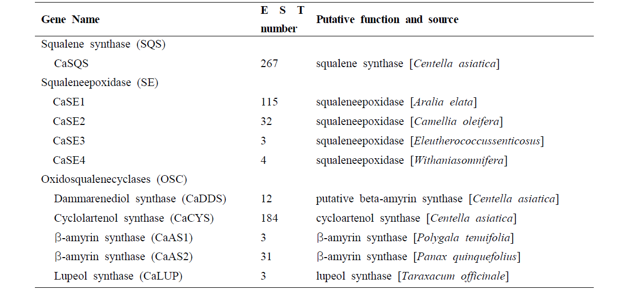 Asiaticoside 생합성 관련 SQS, SQE 및 OSC 유전자