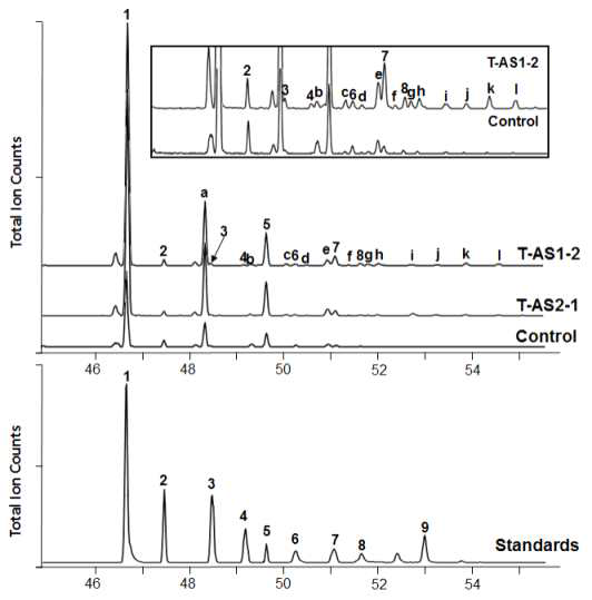 CaAS1 및 CaAS2 유전자를 과잉발현한 모상근 추출 산물의 sapogenin 관련 대사체 분석을 위한 GC-MS 분석