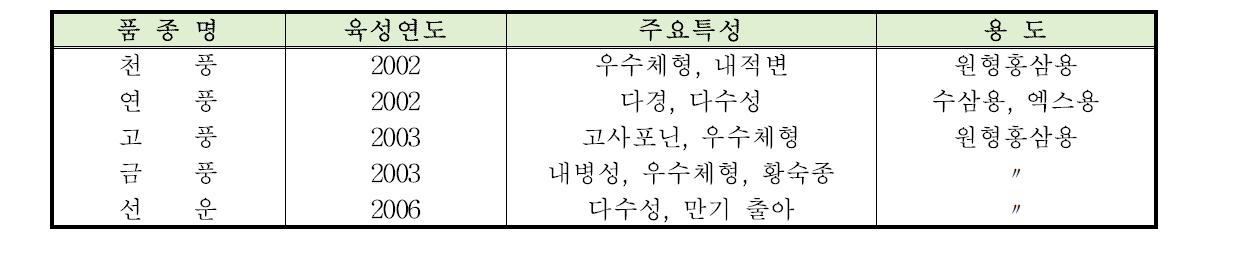 본 연구에 사용된 인삼 품종