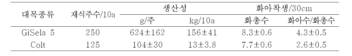 ‘좌등금’에서 재식 4년차 GiSela 5와 Colt 대목간 생산성 비교