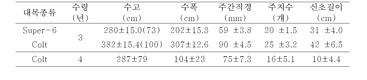 Super 6(재식 3, 4년차)와 Colt(재식 3년차) 대목을 이용한 ‘좌등금’의 수체생육