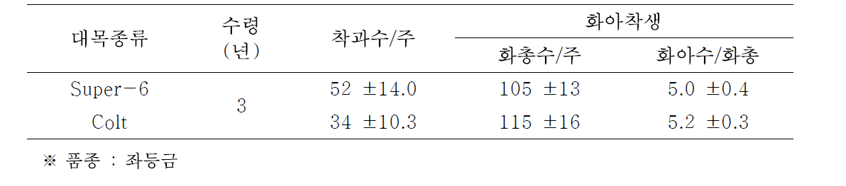 좌등금’에서 Super-6와 Colt대목간 착과수 및 화아착생 비교