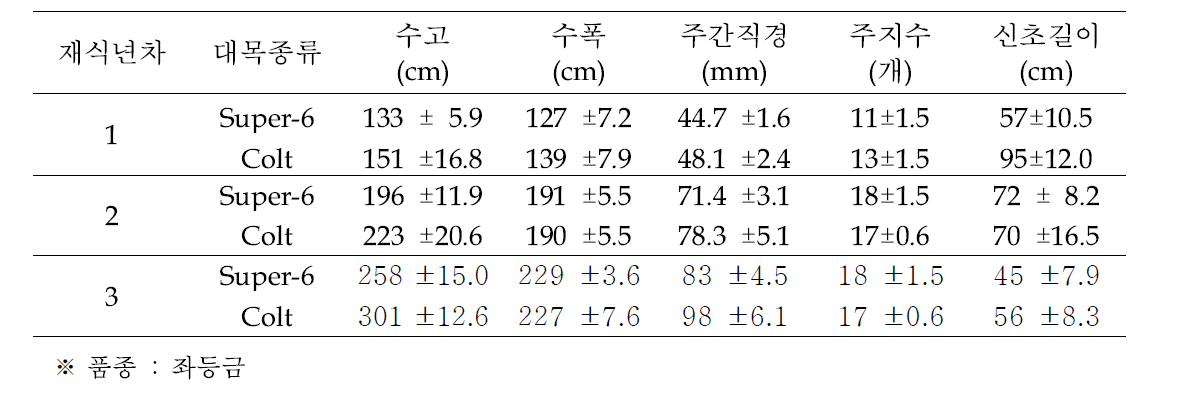 UFO형에서 대목간 생육비교