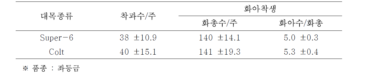 UFO형에서 재식 3년차 대목간 착과수 및 화아착생 특성