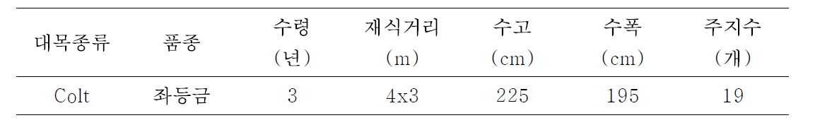 농가적용 3년차 KGB형의 수체생육