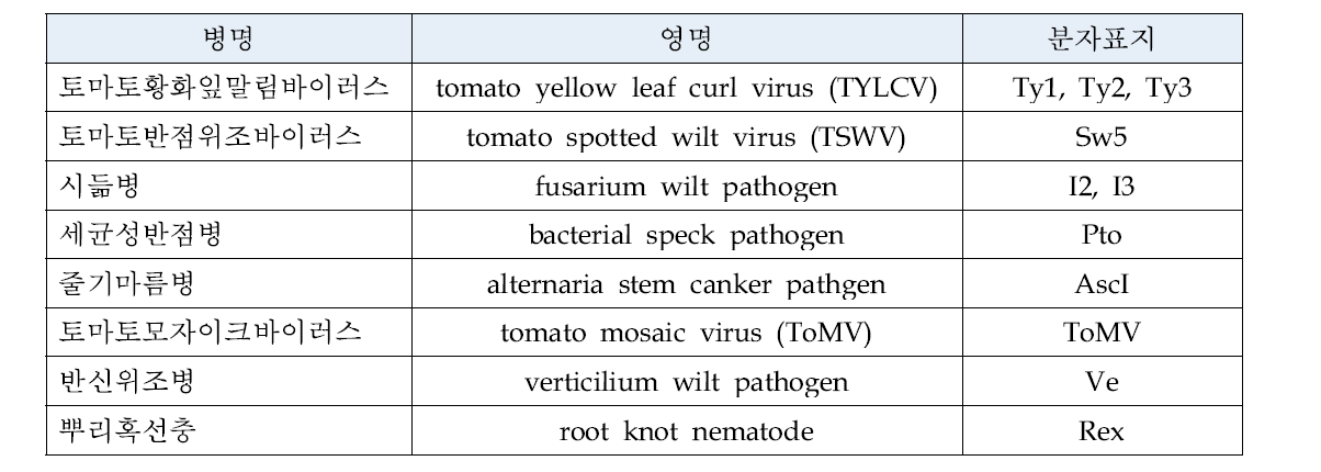 토마토 병 및 활용 분자표지