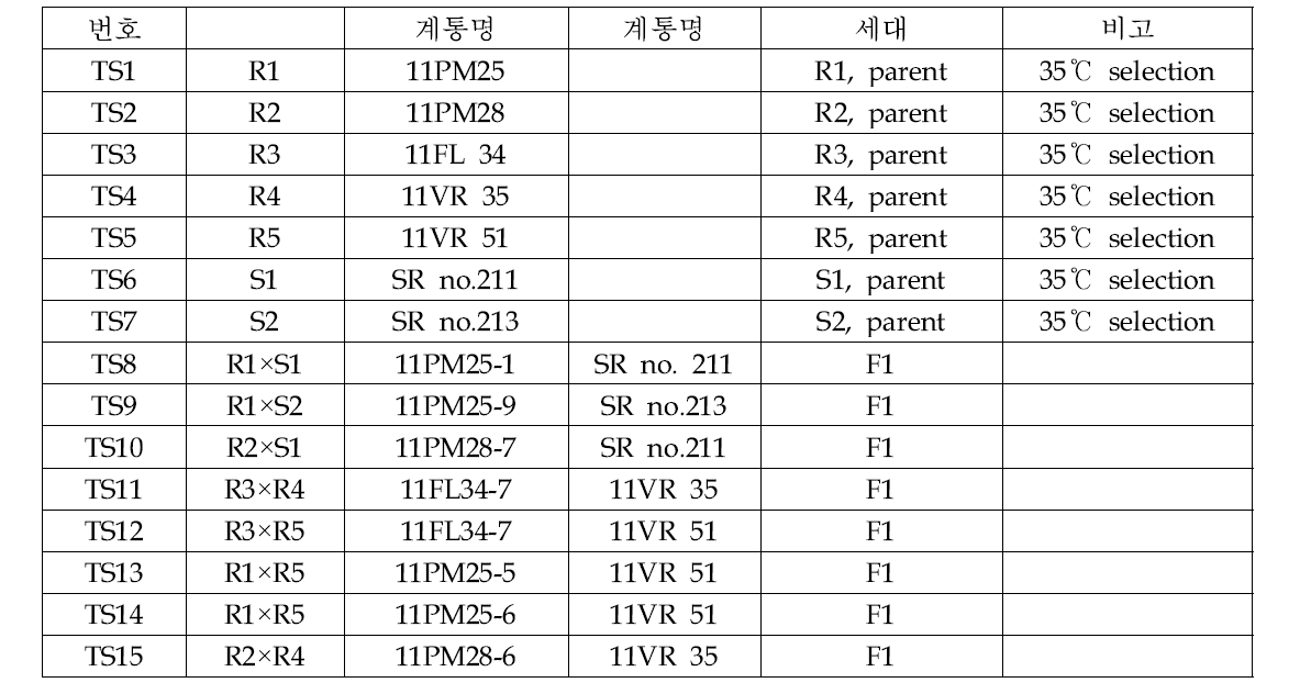 고추 TSWV 저항성 검정에 사용된 F1 조합 내역(2013년)