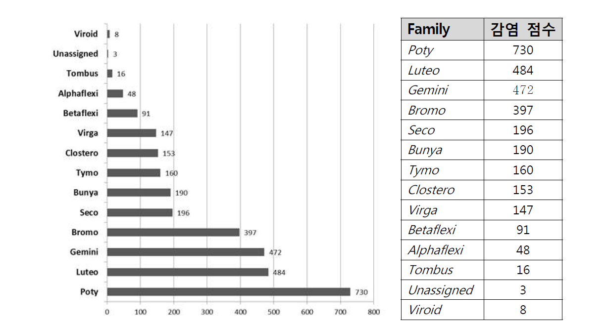 임상진단 검정 바이러스 Family(과) 별 통계