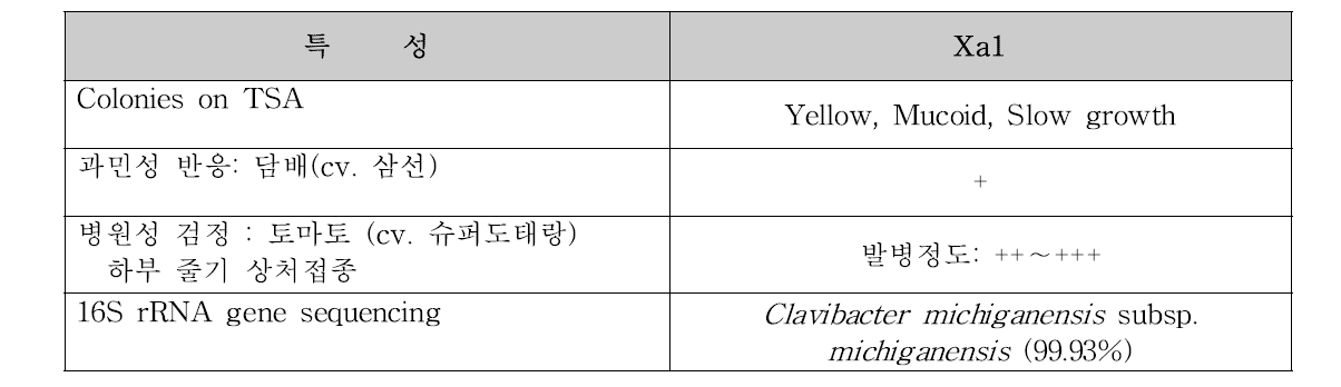 토마토 줄기 썩음 증상에서 분리된 병원균의 동정