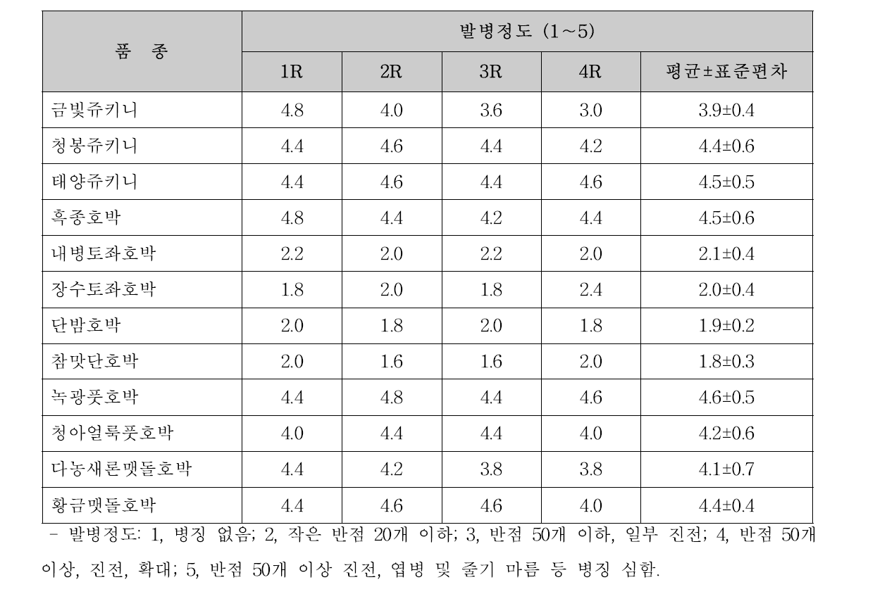 쥬키니호박세균점무늬병균에 대한 호박 종류별 발병정도