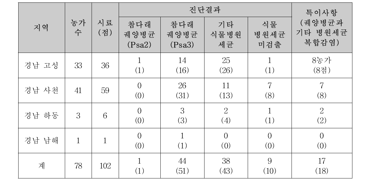 참다래궤양병 임상(원인균)진단(2016)