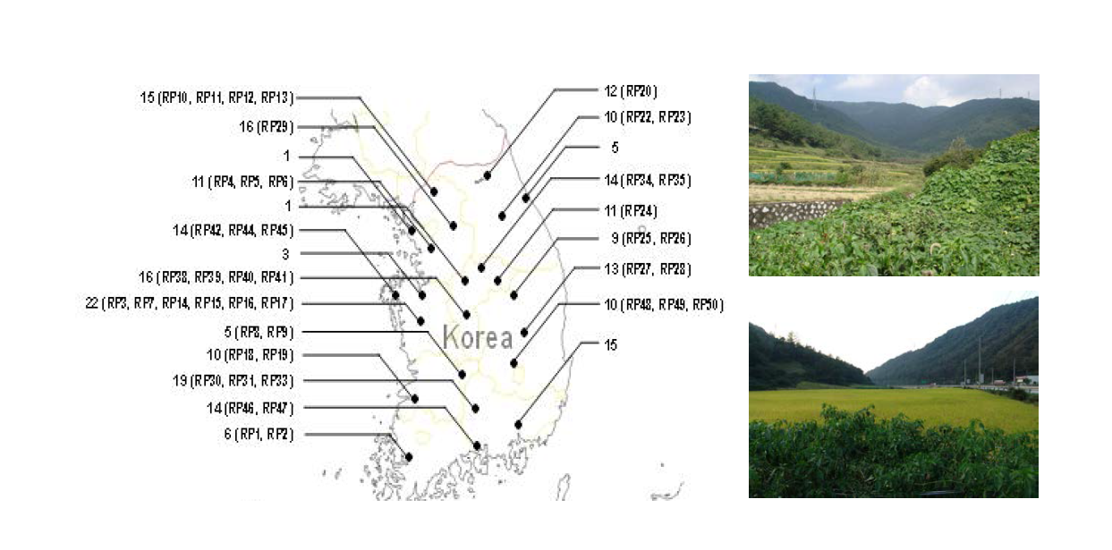 Geographical locations of the collected pepper tissue samples and CMV isolates