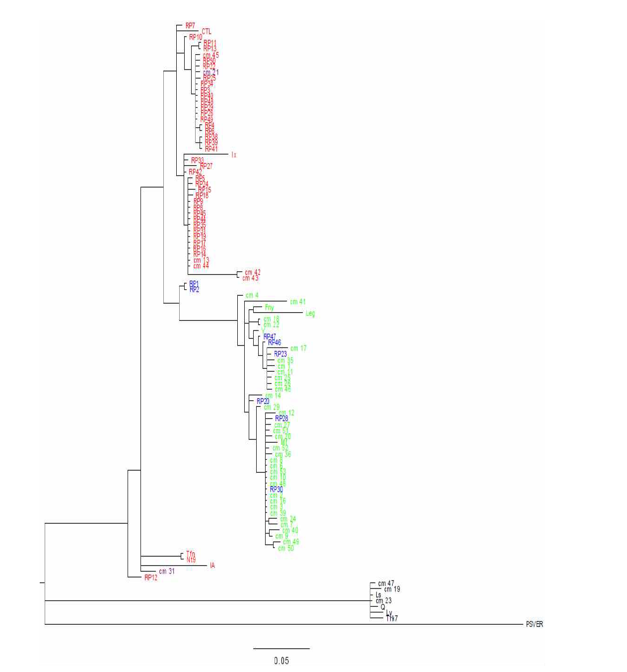 MrBayes phylogenetic trees of CMV isolates based on 2b gene. CMV subgroups are direentiated by colors: Subgroup I, red and green; Subgroup II, black including outgroup of PSV. Reassortants have two colors, blue and skyblue.