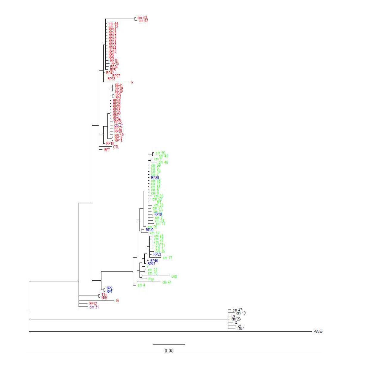 MrBayes phylogeneic trees of CMV isolates based on cp gene. CMV subgroups are direentiated by colors: Subgroup I, red and green; Subgroup II, black indculding outgroup of PSV. Reassortants have two colors, blue and skyblue.