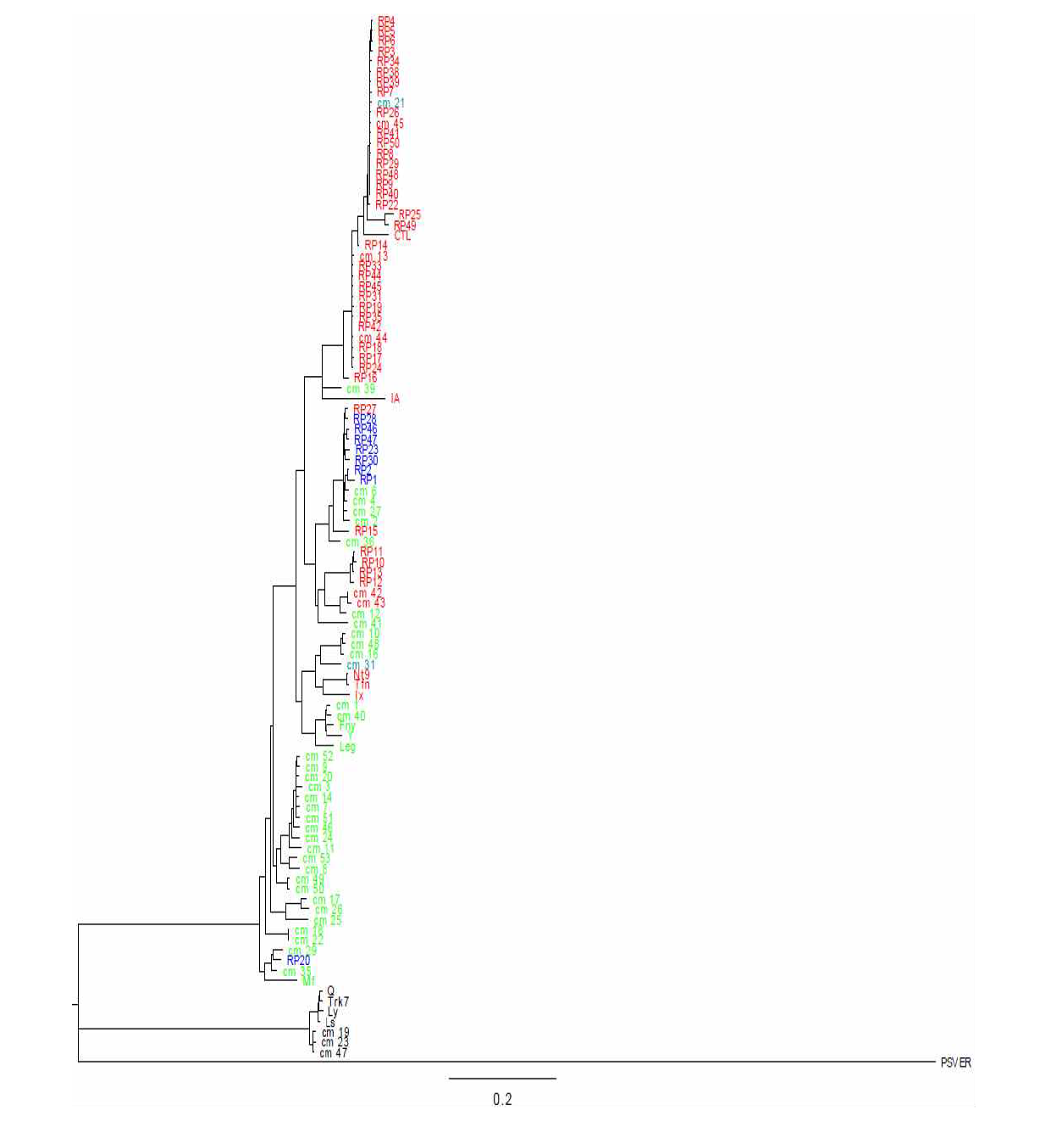 MrBayes phylogenetic trees of CMV isolates based on 1a gene. CMV subgroups are direentiated by colors: Subgroup I, red and green; Subgroup II, black including outgroup of PSV. Reassortants have two colors, blue and skyblue.