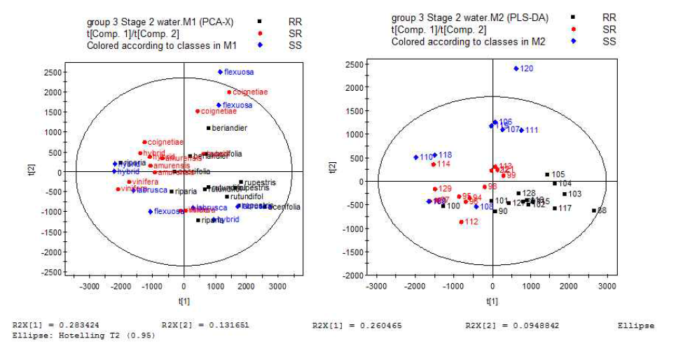 Stage 2의 증류수 접종 처리구의 PCA, PLS-DA 분석 결과
