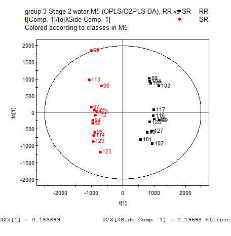 Stage 2의 증류수 접종 처리구의 RR 그룹과 SR 그룹간의 OPLS-DA 분석