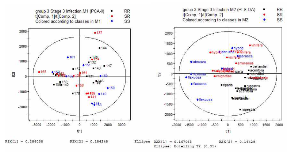 Stage 3의 병원균 접종 처리구의 PCA, PLS-DA 분석 결과