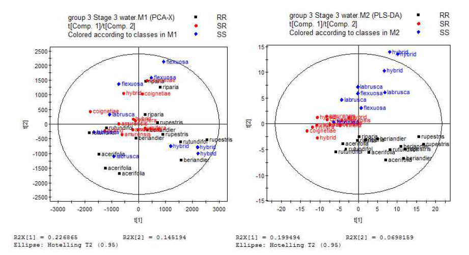 Stage 3의 증류수 처리구의 PCA, PLS-DA 분석 결과