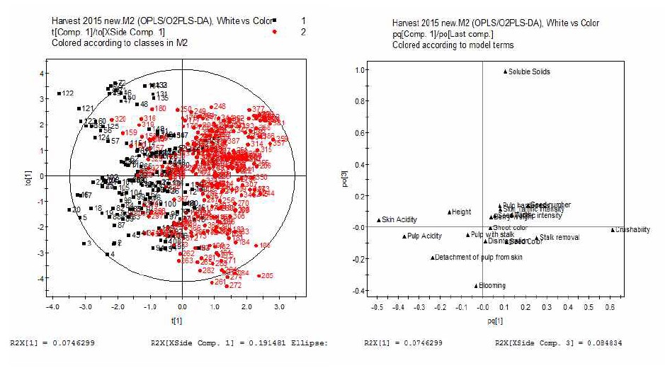 포도의 품질관련 지표를 대상으로 청포도와 유색포도의 PLS-DA 분석
