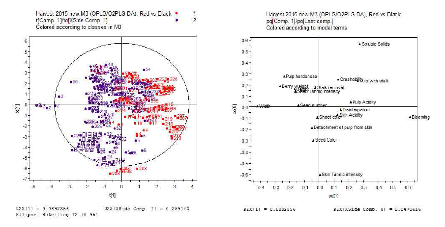포도의 품질관련 지표를 대상으로 적포도와 검정포도의 PLS-DA 분석