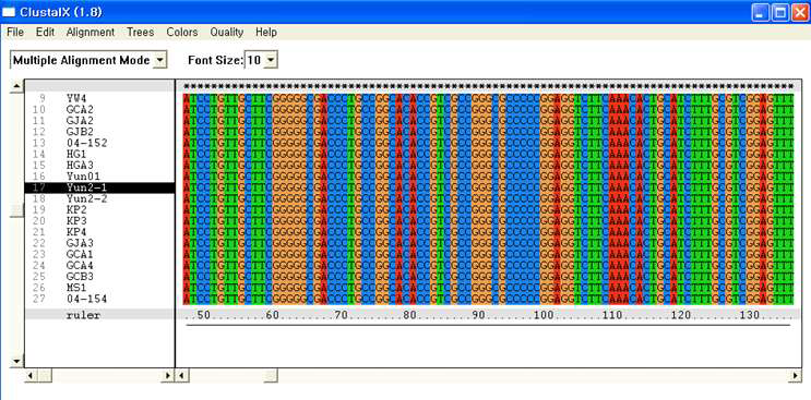 Alignment of sequences between 42 P. vitis isolates