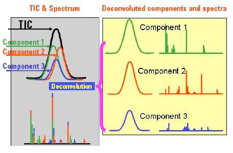 GC/MS raw data의 Deconvolution 과정