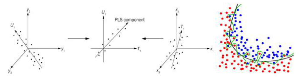 PLS-DA분석법의 개념도