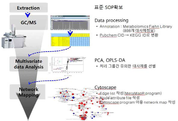 대사체분석 시스템 pipeline