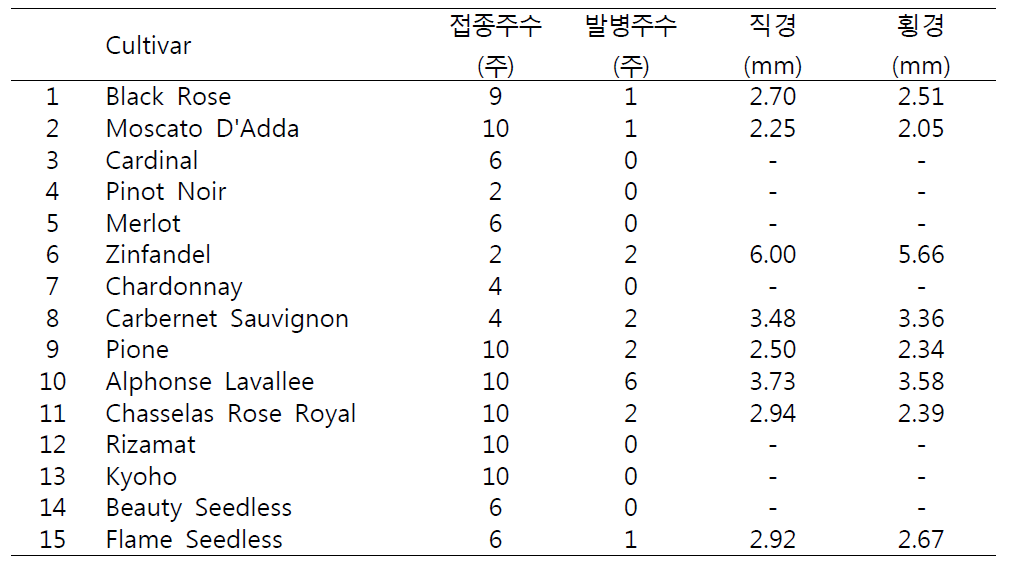 포도유전자원 줄기혹병 저항성 검정 결과(2014. 8. 7. 경지접종/ 9. 12 조사)