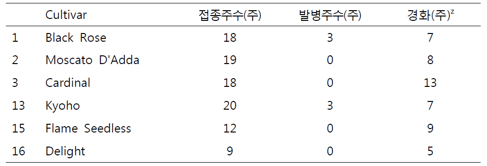 포도유전자원 줄기혹병 저항성 검정(2014. 8. 19. 녹지접종/ 9. 12 조사)