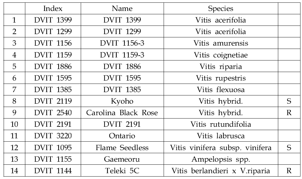 줄기혹병 관련 대사체 분석에 사용한 포도 유전자원 목록 (2015)