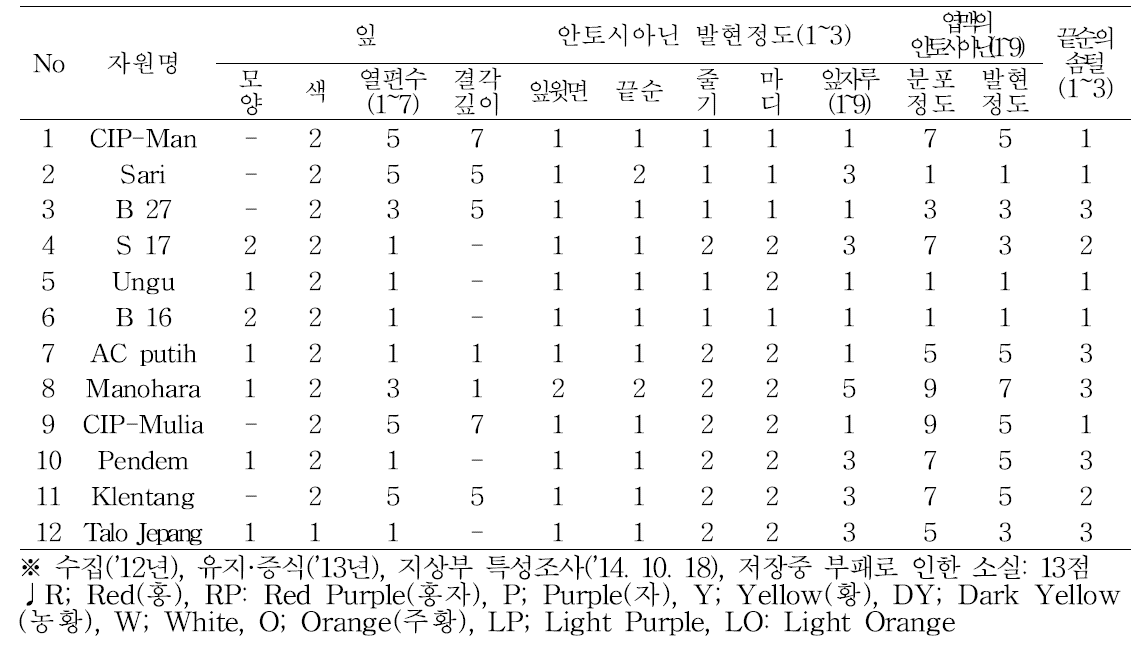 인도네시아 신규 수집 고구마 유전자원 지상부 특성