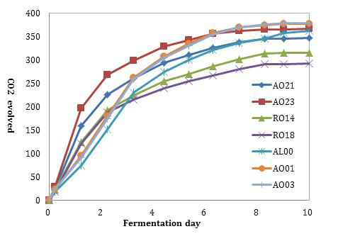 Changes in CO2 evolved of Danyangju mash with various rice-Koji