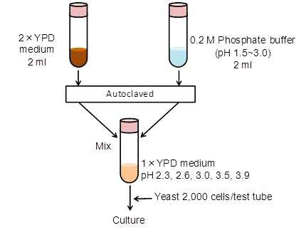 The preparation of the test medium of pH