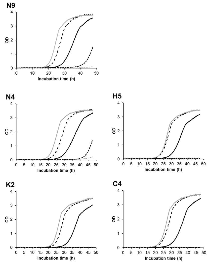 The growth curves of yeast cultured in YPD mediums under different temperature