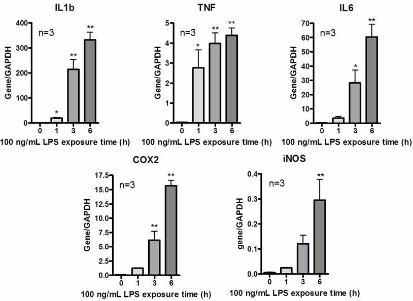 Time course of inflammatory mediators after LPS exposure