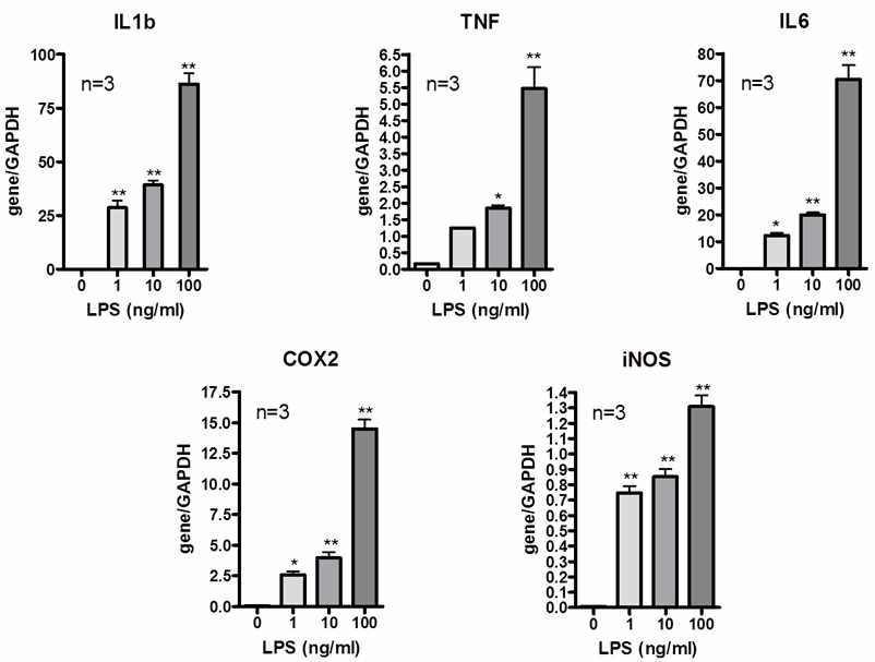 The effect of exposure concentration of LPS on inflammatory mediators