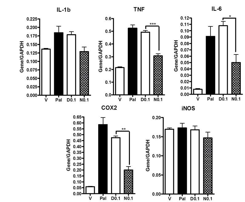 The anti-inflammatory effect of Nuruk on RAW264 cells induced by palmitate