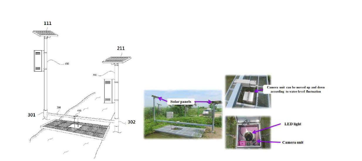지상부곤충 모니터링 시스템의 구성도. 100: 제1수직지지대, 111(211): 솔라모듈, 300: 수평지지대