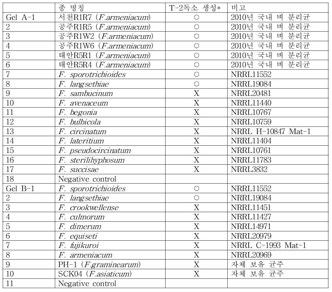 T-2독소 생성종의 진단에 사용된 Fusarium 균주 목록