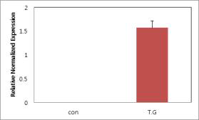 16d-2 유전자가 도입된 형질전환체의 Real-Time PCR 분석 (2015)
