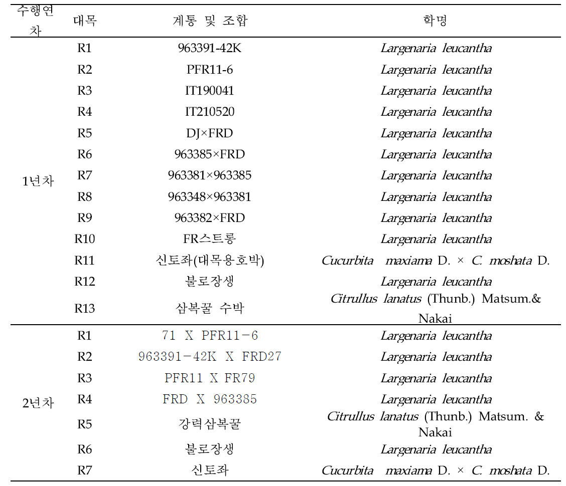 시험 작물