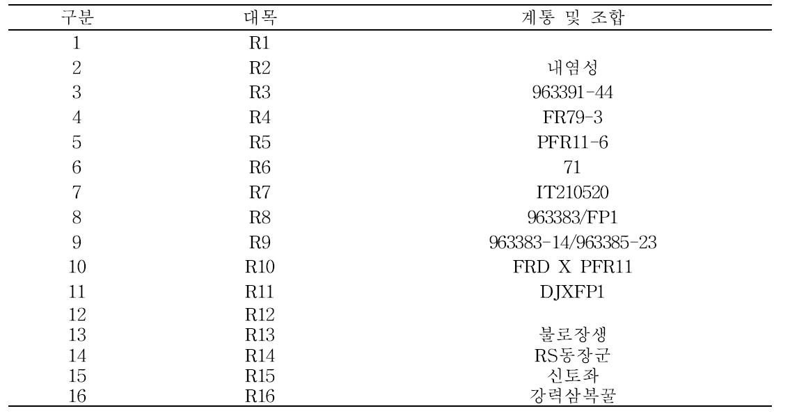 시험 작물