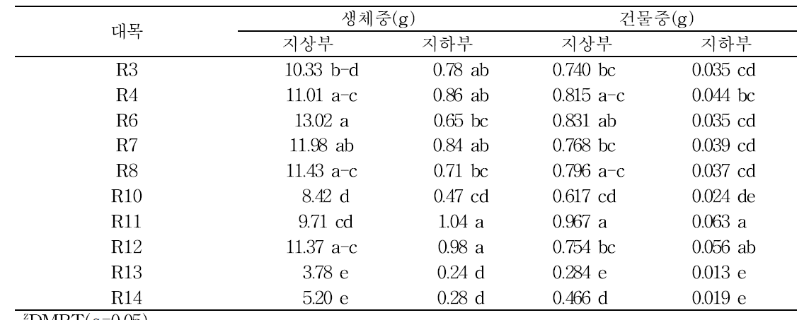 대목종류에 따른 정식 전 수박 접목묘의 생육(n=5, 정식 3.19)