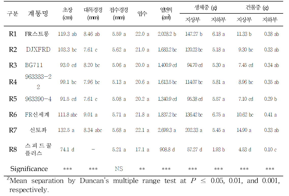 대목 종류에 따른 정식 30일 후 수박 접목묘의 생육(n=8, 난괴법 4반복, 4.2)