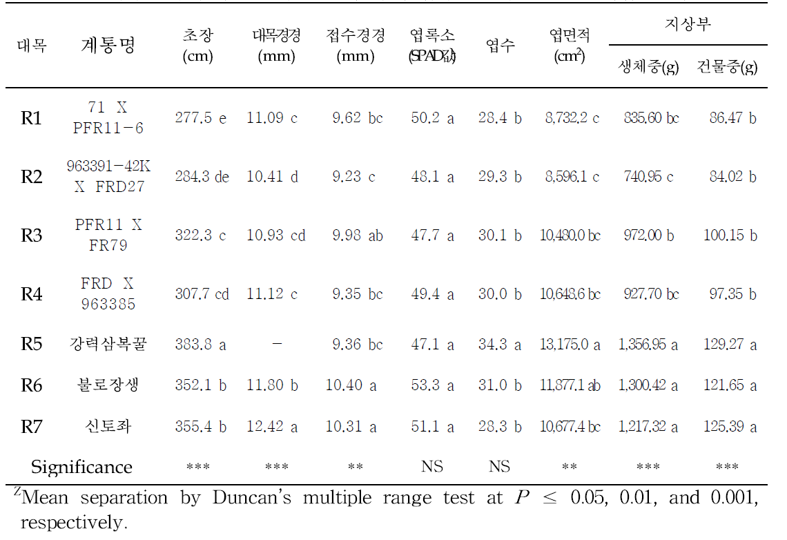 대목 종류에 따른 정식 30일 후 수박 접목묘 생육(n=20, 난괴법 4반복, 9.10)